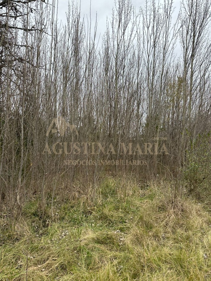 LOTES CORDOBA VILLA YACANTO 